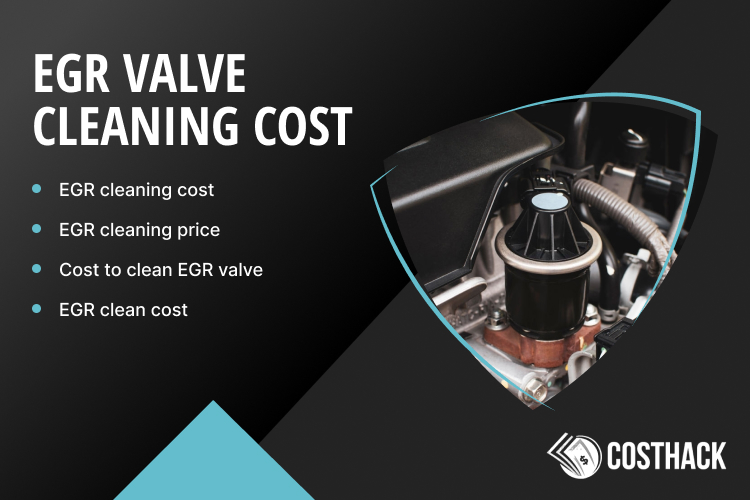 EGR Valve Cleaning Cost